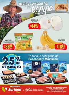 Vista previa de Soriana - Martes y Miércoles del Campo Híper: Chih, Delicias, Dur y Coah (excepto Saltillo), nuevo folleto de la tienda, válido en México a partir del 17.02.2026