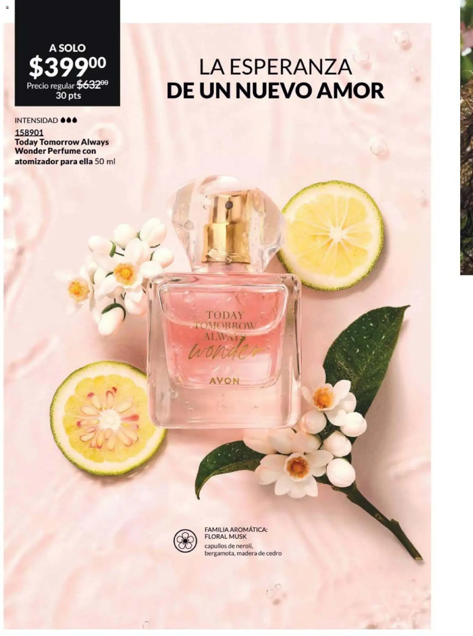 Nuevas ofertas de AVON válidas en toda la República Mexicana desde el 20.02.2026. ¡Encuentra las mejores ofertas en AVON campaña 4 2026! | Página: 82