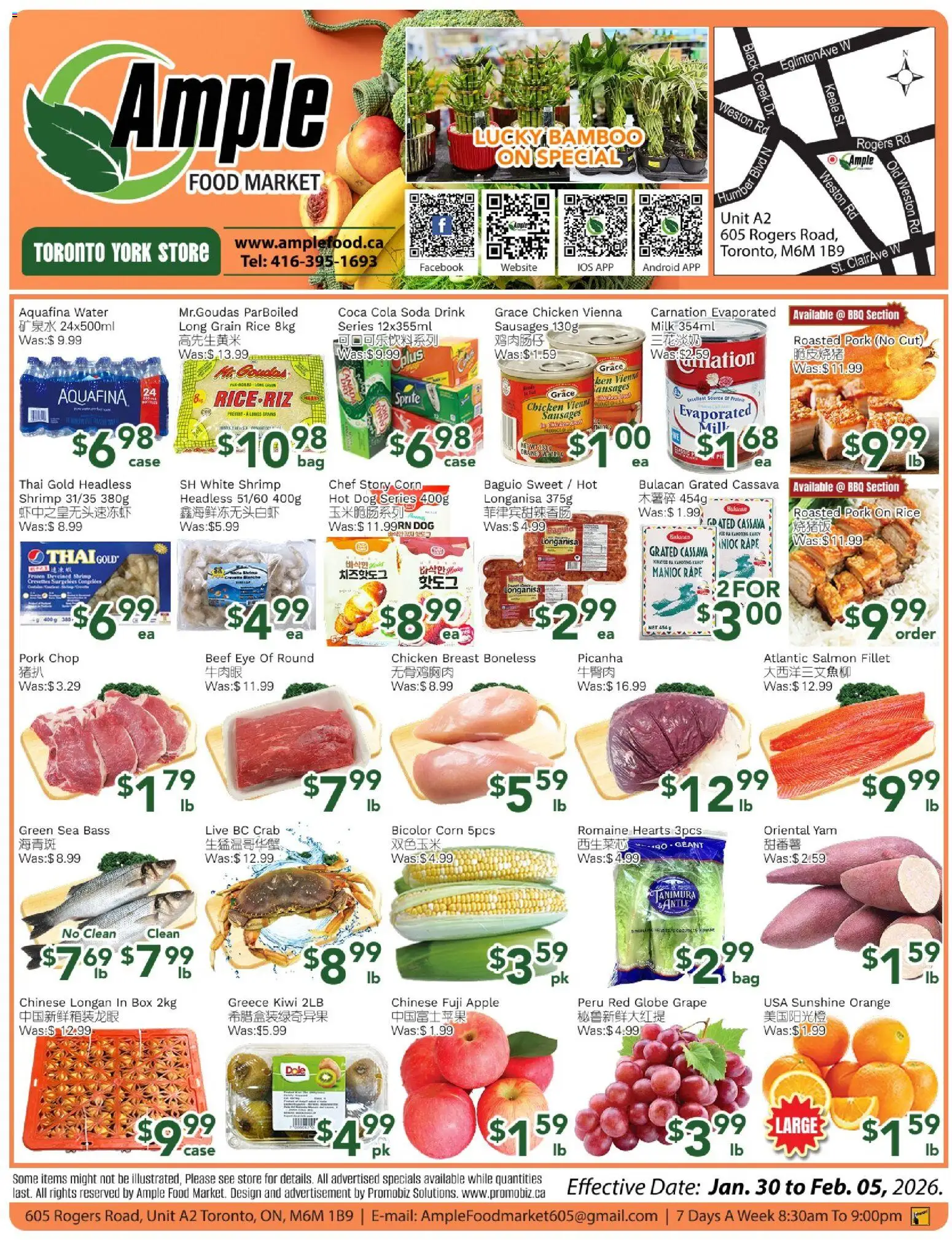 Ample Food Market flyer valid from 30.01.2026 | Page: 1 | Products: Beef, Kiwi, Case, Pork