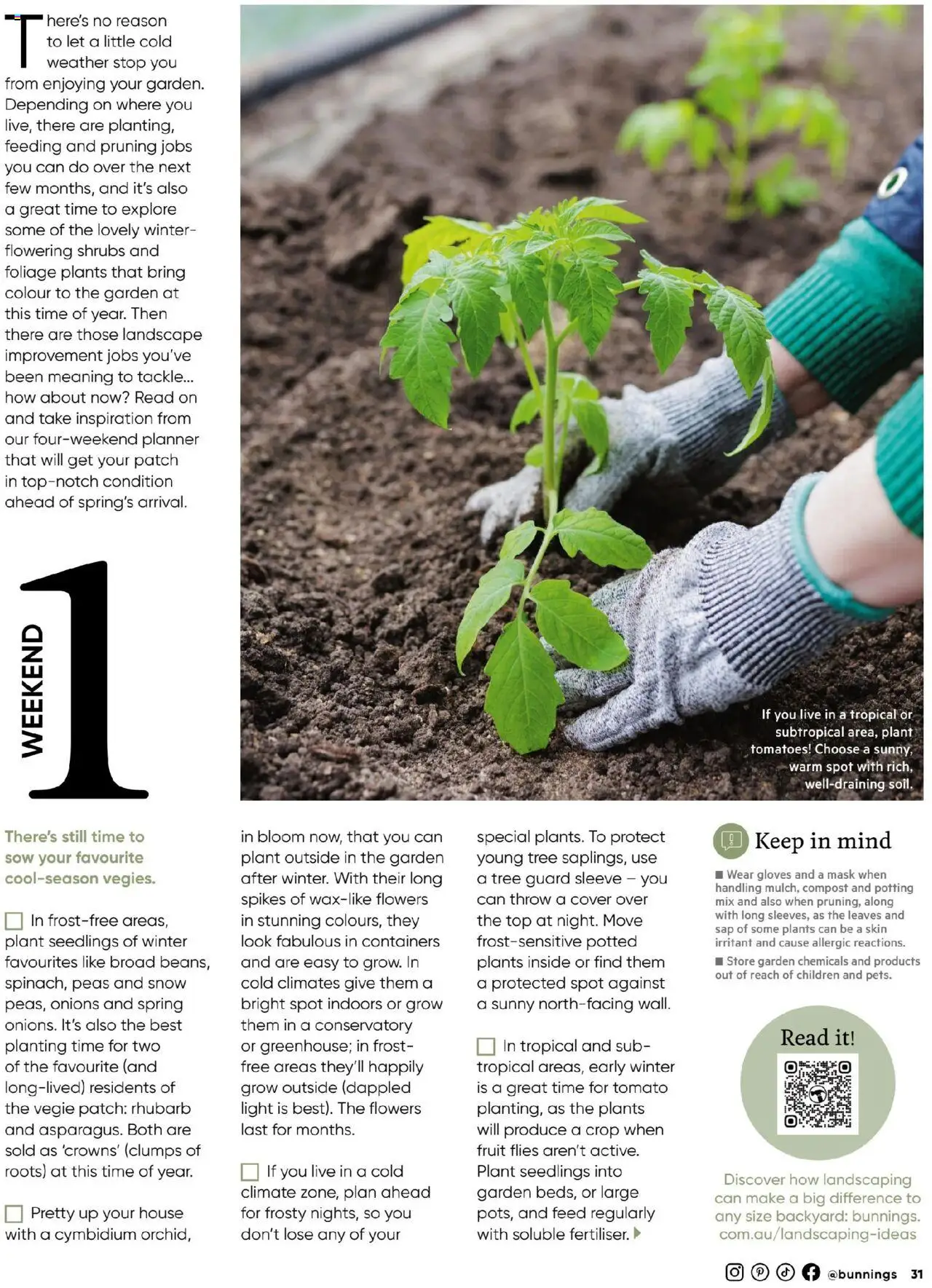 Bunnings Warehouse catalogue - valid from 01.07.2025 | Page: 31 | Products: Light, Pruning, Plant, Gloves
