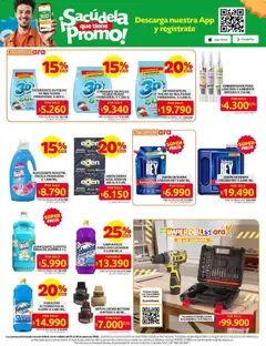 Ara - Ahorra con precios bajos y ofertas en la canasta familiar  -  Vista previa de la revista de la tienda Ara valido desde el 15.01.2026 | Página: 13