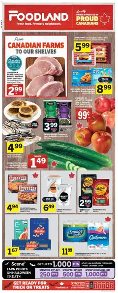 Preview of Foodland flyer - NS from shop Foodland valid from 30.10.2025