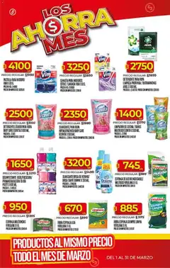 Vista previa Supermercado DIA Ofertas válido desde el 11.03.2026 | Página: 48 | Productos: Desinfectante, Inodoro, Esponja, Ropa