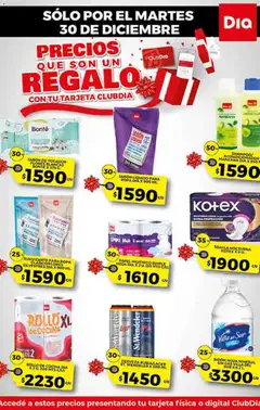 Vista previa Dia - Ofertas válido desde el 26.12.2025 | Página: 11