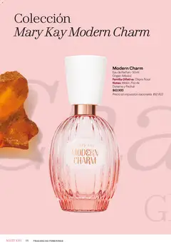 Vista previa Mary Kay catálogo válido desde el 02.01.2026 | Página: 66