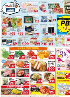 23.02.2026から有効なオファーを含む 西友 - チラシ | ページ: 3