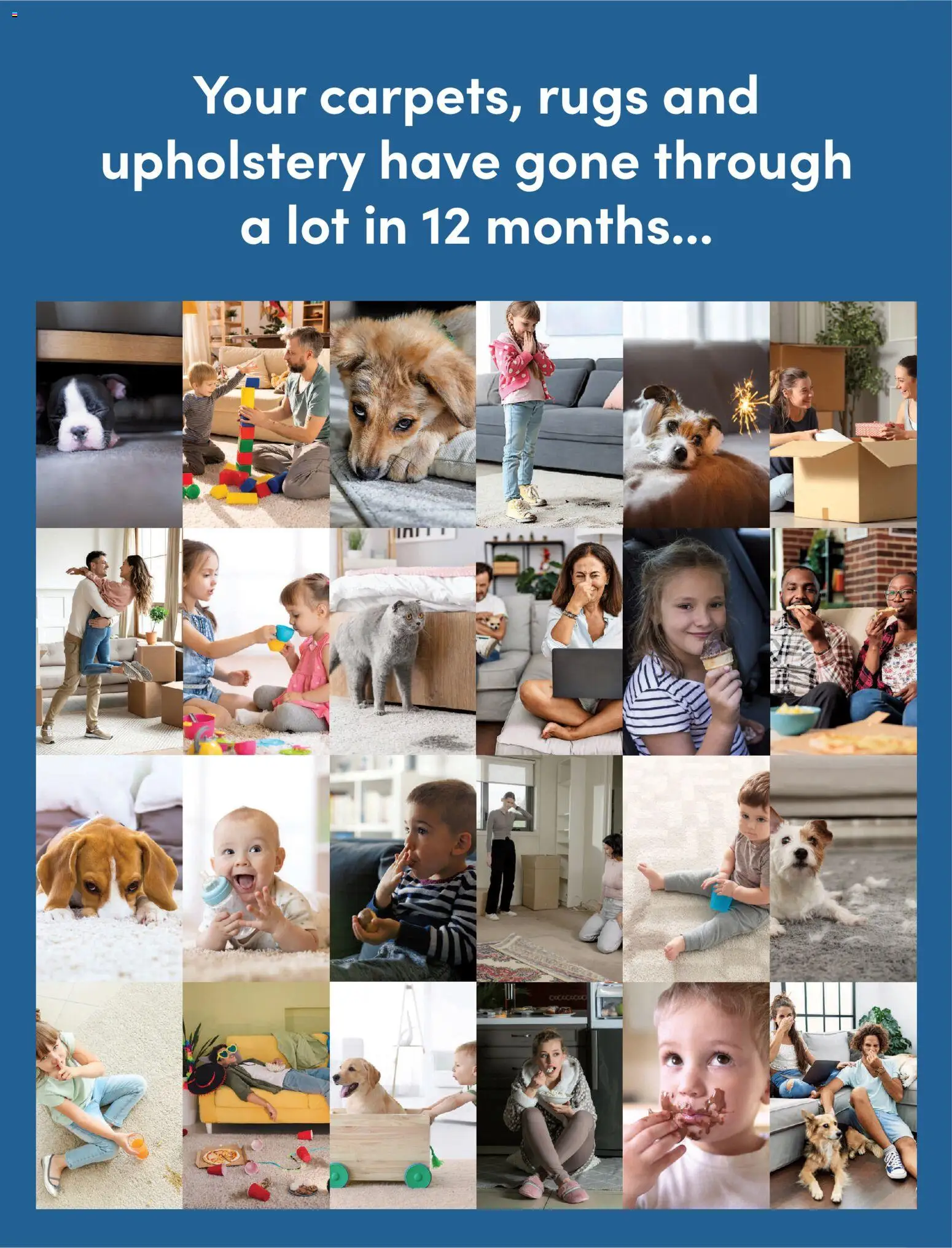 Bunnings Warehouse catalogue - valid from 01.02.2026 | Page: 2 | Products: Rugs