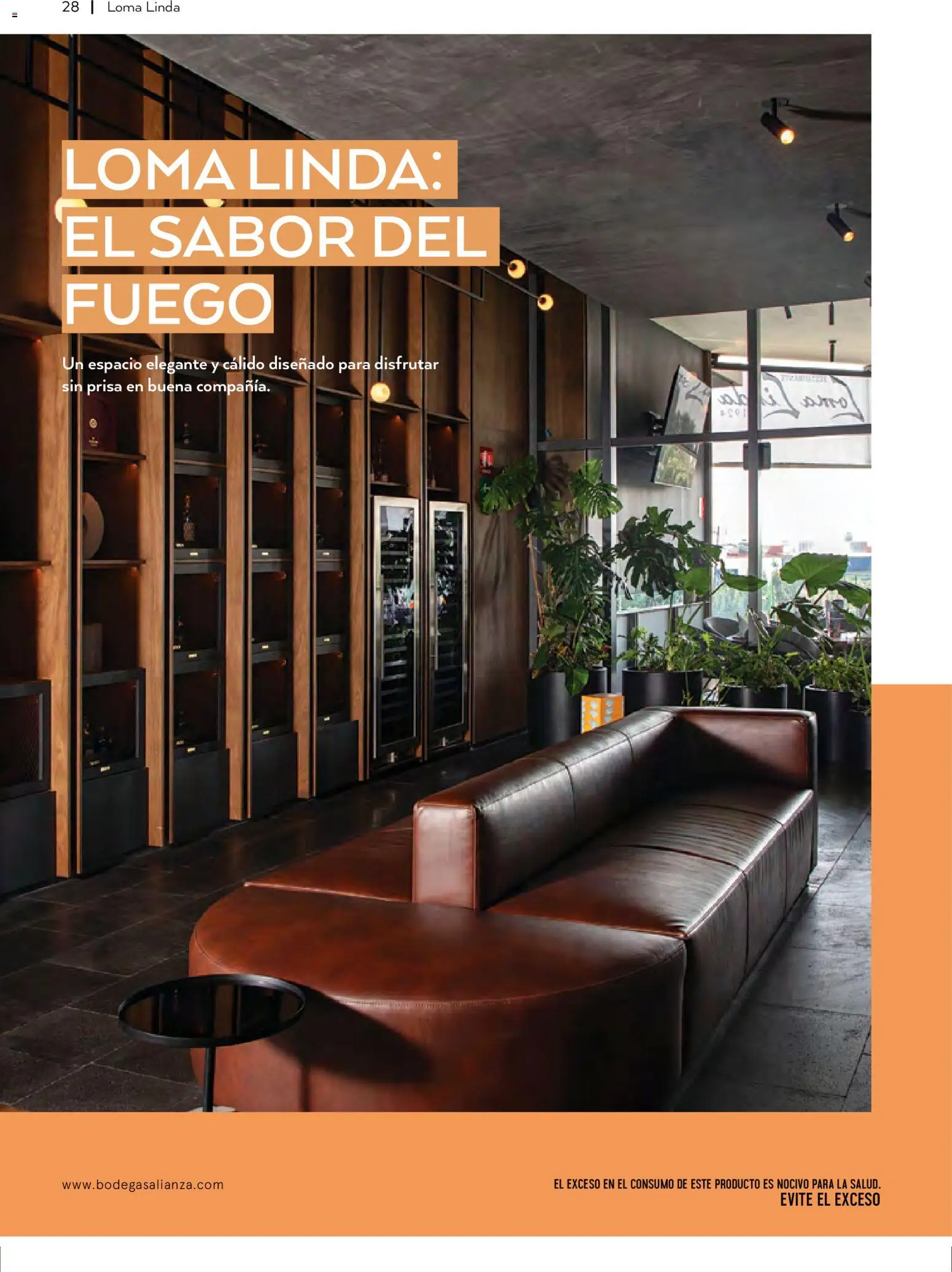 Nuevas ofertas de Bodegas Alianza válidas en toda la República Mexicana desde el 01.01.2026. ¡Encuentra las mejores ofertas en Bodegas Alianza catálogo! | Página: 30