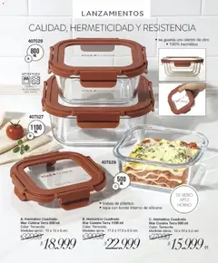 Vista previa Violetta catálogo válido desde el 01.12.2025 | Página: 91 | Productos: Horno, Microondas