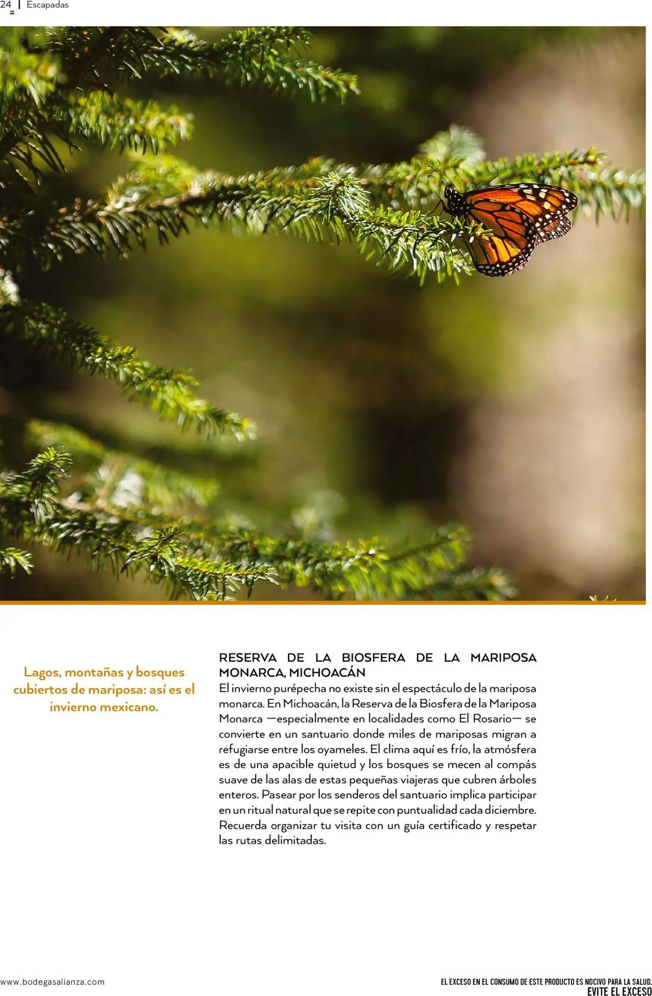 Nuevas ofertas de Bodegas Alianza válidas en toda la República Mexicana desde el 01.10.2025. ¡Encuentra las mejores ofertas en Bodegas Alianza - Catálogo Cava Morada! | Página: 26 | Productos: Rosario