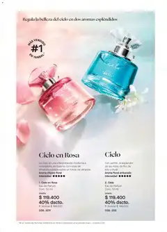 Yanbal catálogo -  Vista previa de la revista de la tienda Yanbal valido desde el 28.02.2026 | Página: 33