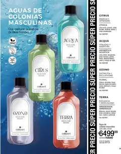 Vista previa Millanel - Catálogo válido desde el 08.12.2025 | Página: 79 | Productos: Lima, Agua