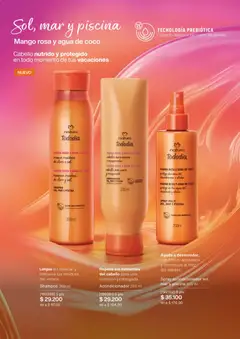 Natura - Catálogo 01A/2026 -  Vista previa de la revista de la tienda Natura valido desde el 02.01.2026 | Página: 136