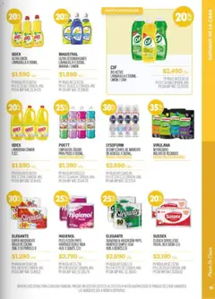 Vista previa Pigmento catálogo válido desde el 02.12.2025 | Página: 15 | Productos: Lavandina, Cocina, Servilletas, Limón