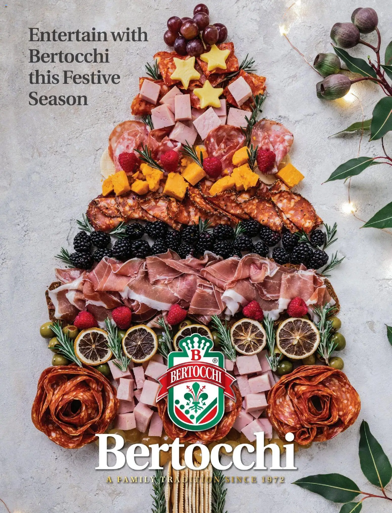 Foodland catalogue - valid from 01.12.2025 | Page: 21