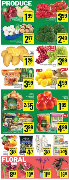 Preview of Food Basics weekly flyer - Ajax from shop Food Basics valid from 19.03.2026 | Page: 6 | Products: Cucumbers, Potatoes, Chair, Tomatoes