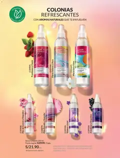 Vista previa de folleto Avon catálogo - Campaña 5 de la Avon válido desde 10.03.2026 | Página: 132 | Productos: Té, Piña