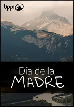 Lippi Ofertas  válido desde el 29.04.2026