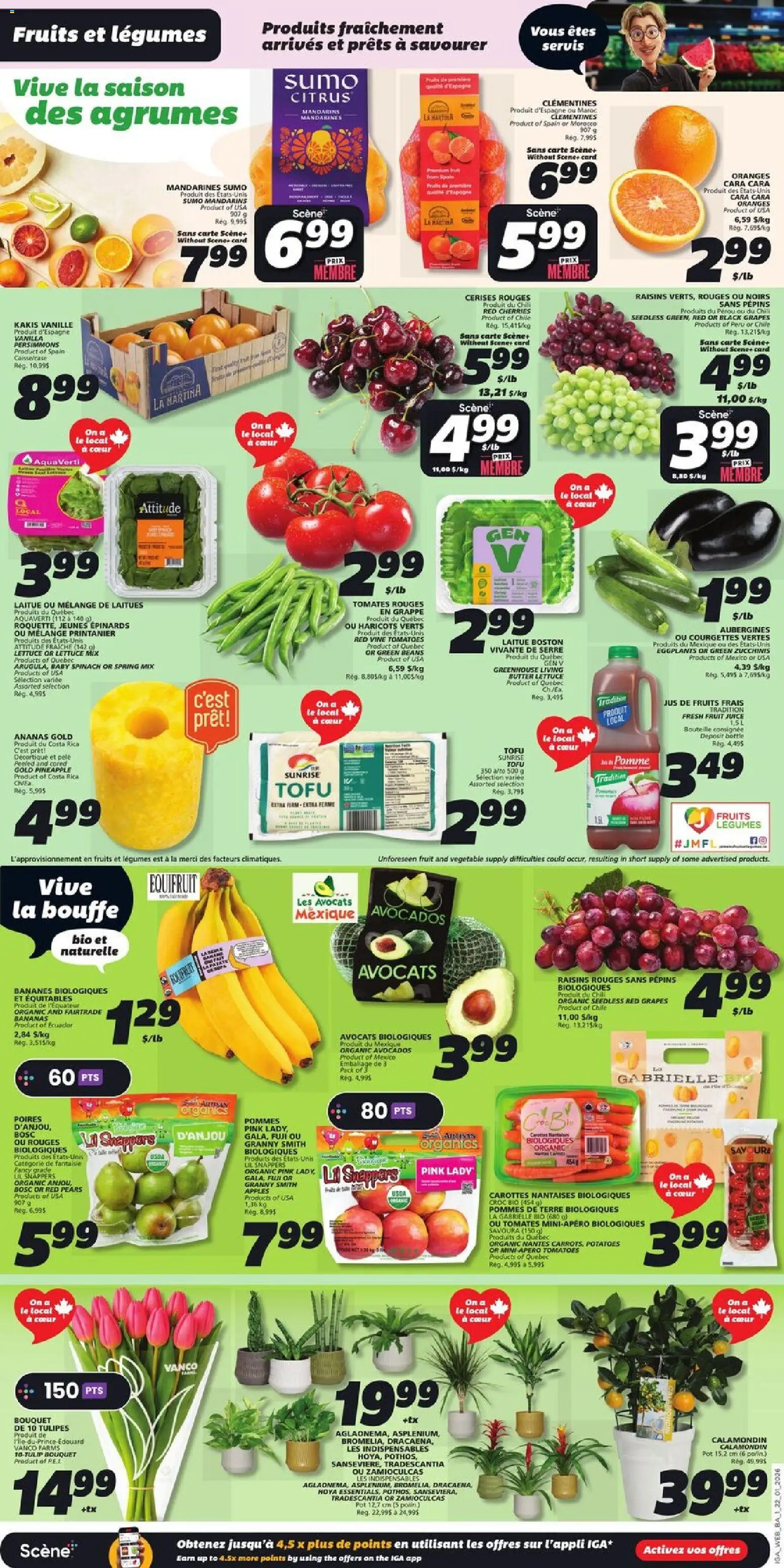 IGA flyer valid from 22.01.2026 | Page: 3 | Products: Potatoes, Oranges, Tomatoes, Bananas