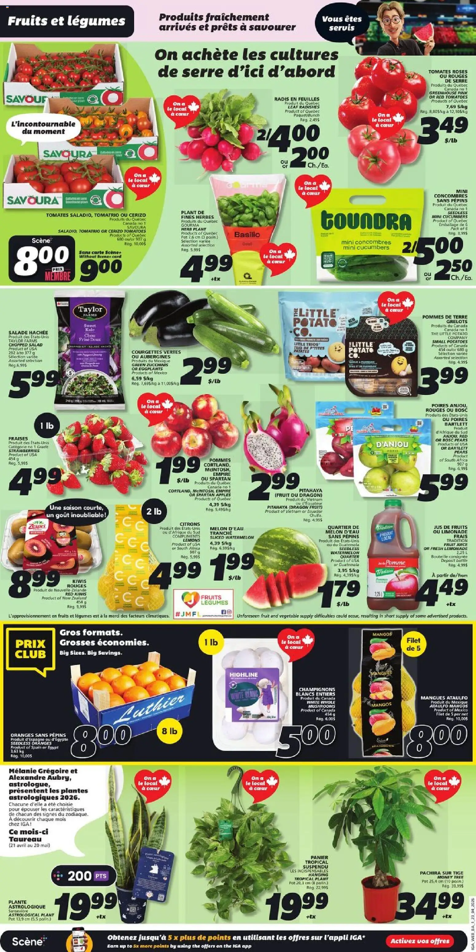 IGA flyer valid from 23.04.2026 | Page: 3 | Products: Strawberries, Salad, Potatoes, Apples