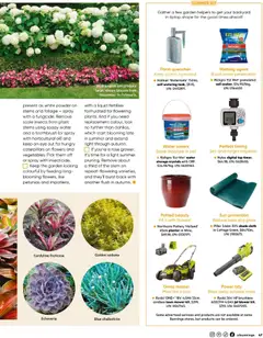 Preview of Catalogue Bunnings Warehouse December  - valid from 01.12.2025 | Page: 47