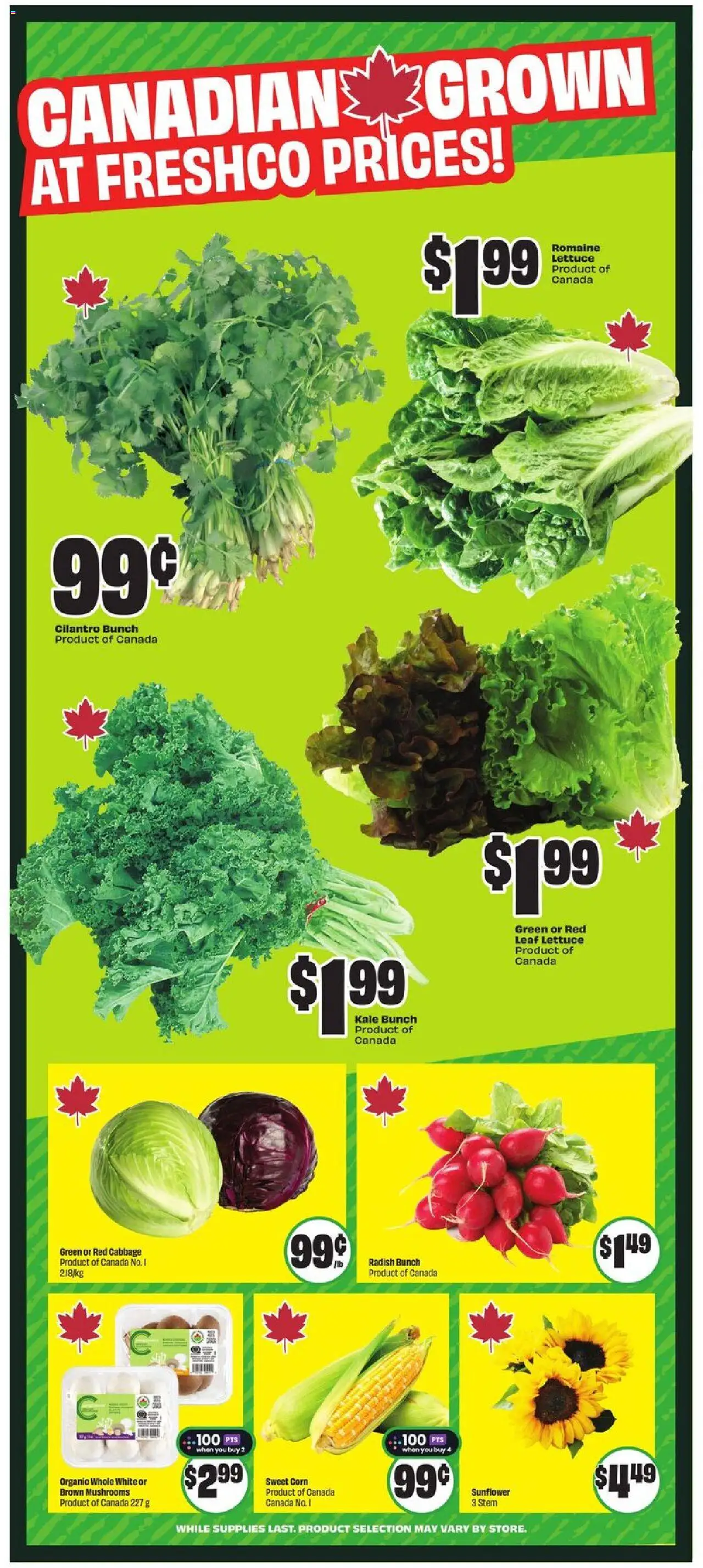 FreshCo flyer valid from 07.08.2025 | Page: 6