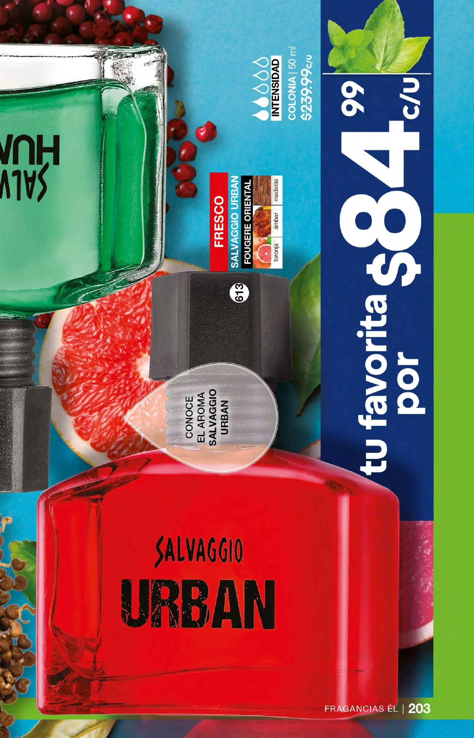 Nuevas ofertas de Fuller válidas en toda la República Mexicana desde el 04.03.2026. ¡Encuentra las mejores ofertas en Fuller campaña 24 2026! | Página: 203