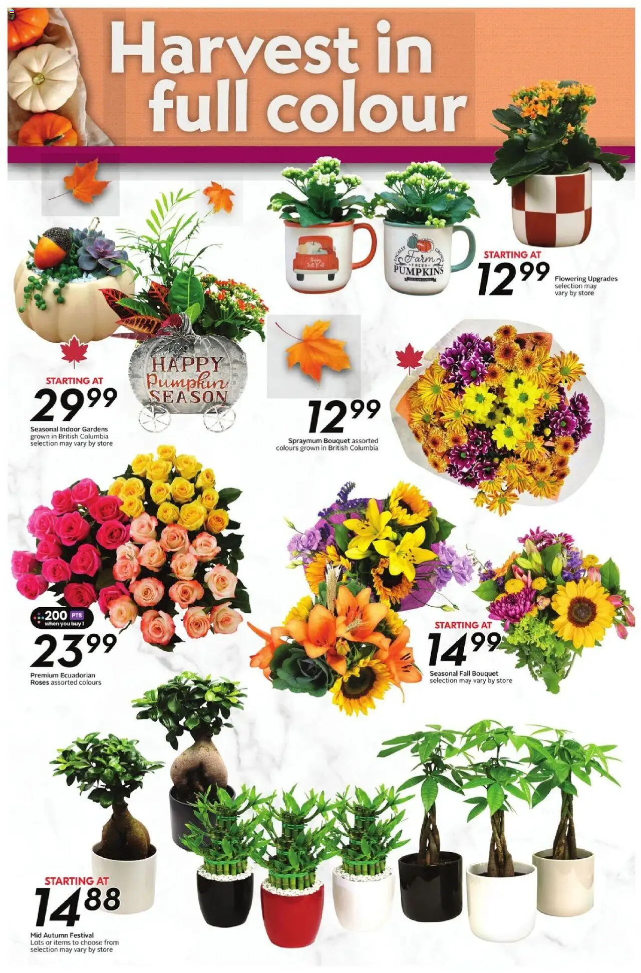 Safeway flyer valid from 02.10.2025 | Page: 22 | Products: Pumpkin