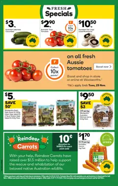 Preview of Woolworths Black Friday - valid from 05.11.2025 | Page: 4