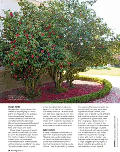 Preview of Catalogue Bunnings Warehouse February - valid from 01.02.2026 | Page: 28