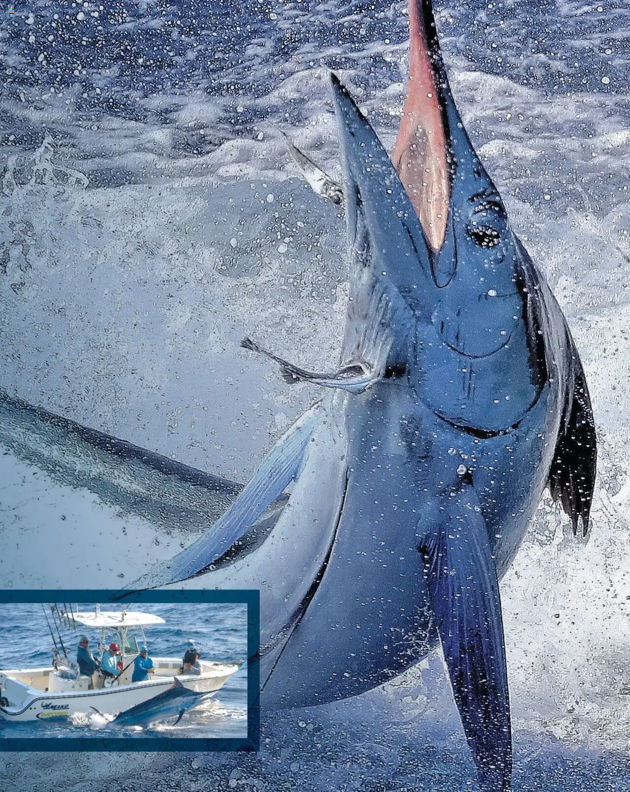 Cabela's Saltwater Specialist 25 - valid from 01.01.2025 | Page: 9