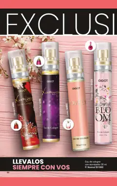 Vista previa Gigot - CAMPAÑA 06 válido desde el 15.03.2026 | Página: 90 | Productos: Cámara