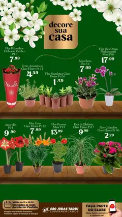 São Judas Tadeu - Ofertas Flores - Pré-Visualização do folheto da loja São Judas Tadeu, válido de 15.01.2026 | Página: 1 | Produtos: Flores, Faca