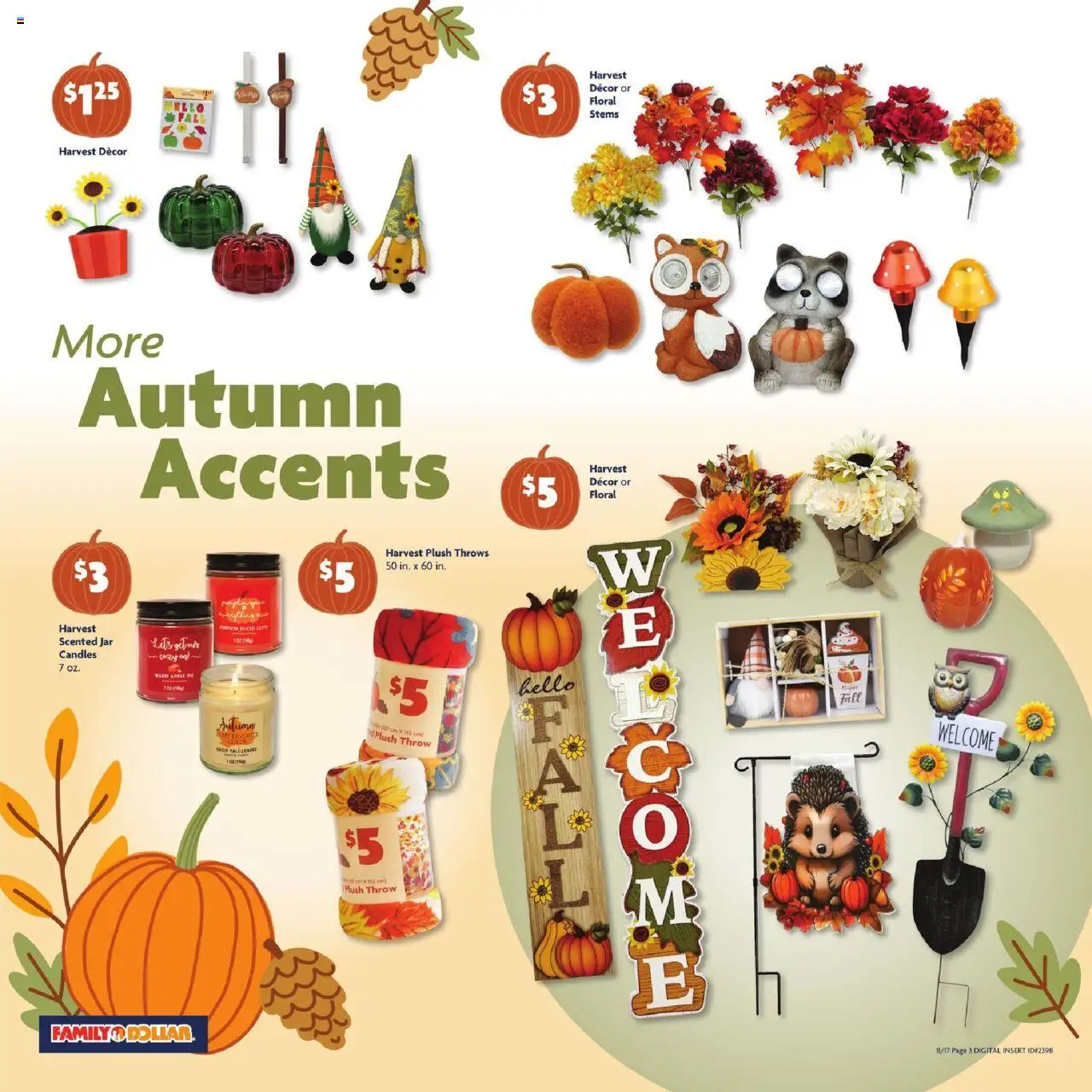 Family Dollar Weekly Ad - valid from 17.08.2025 | Page: 5