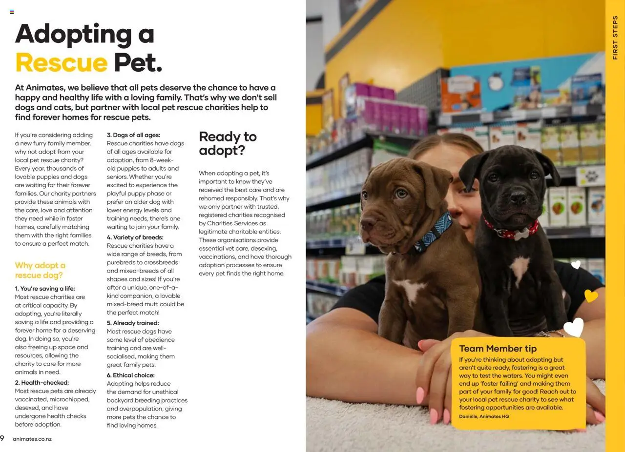 Animates catalogue from 01.01.2024 | Page: 6