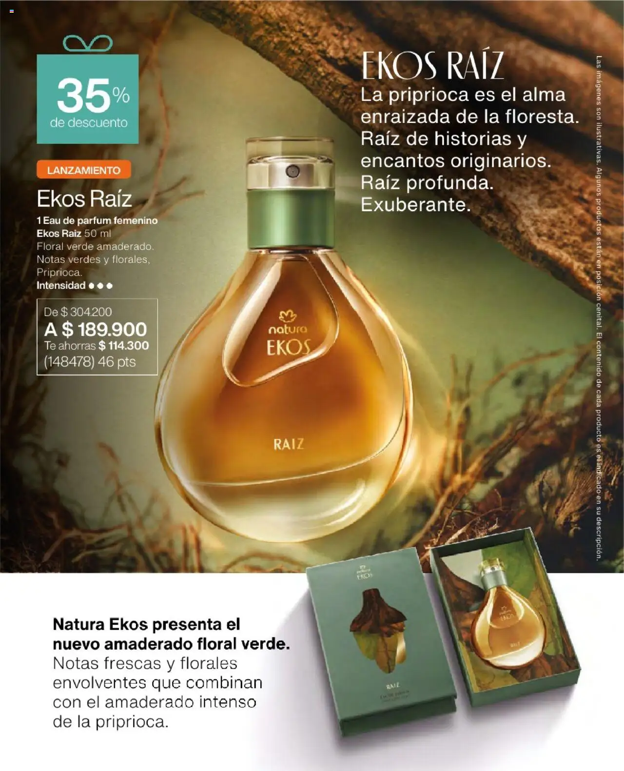 Natura revista - valida desde el 23.07.2025 | Página: 48 | Productos: Té