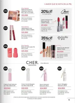 Vista previa Pigmento catálogo válido desde el 03.02.2026 | Página: 13