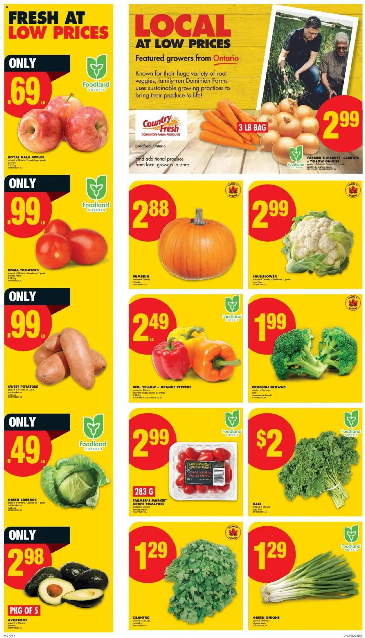 No Frills flyer valid from 18.09.2025 | Page: 2 | Products: Potatoes, Pumpkin, Apples, Tomatoes