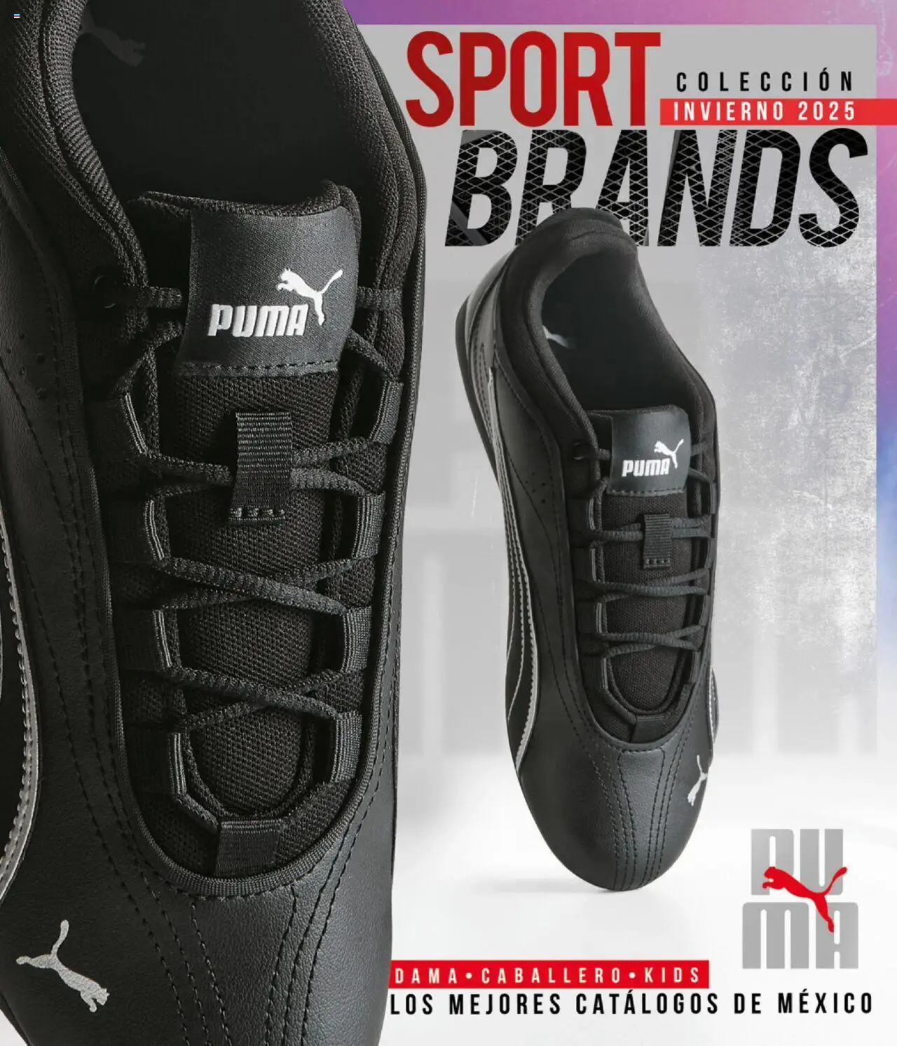 Nuevas ofertas de Cklass válidas en toda la República Mexicana desde el 16.09.2025. ¡Encuentra las mejores ofertas en Cklass - Catálogo Invierno Sportbrands! | Página: 236