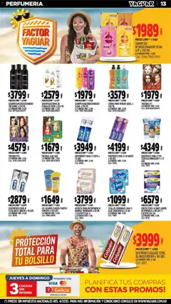 Vista previa Yaguar catálogo válido desde el 26.01.2026 | Página: 13 | Productos: Toallas, Tintura, Acondicionador, Fijador