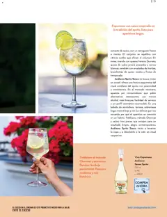 Vista previa de Bodegas Alianza catálogo, nuevo folleto de la tienda, válido en México a partir del 01.01.2026 | Página: 17