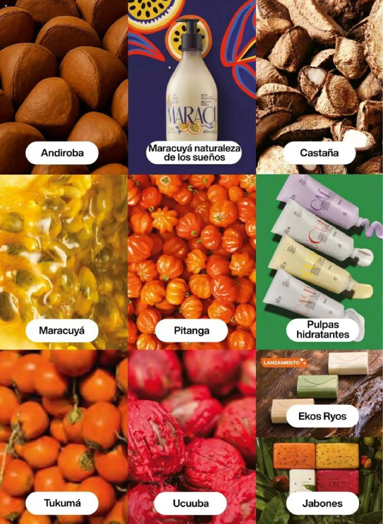 Nuevas ofertas de Natura válidas en toda la República Mexicana desde el 01.12.2025. ¡Encuentra las mejores ofertas en Natura campaña 18 2025! | Página: 110