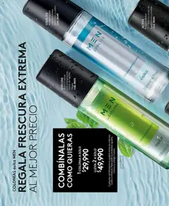 Ésika - Catálogo C17 -  Vista previa de la revista de la tienda Ésika valido desde el 14.10.2025 | Página: 164 | Productos: Combinación