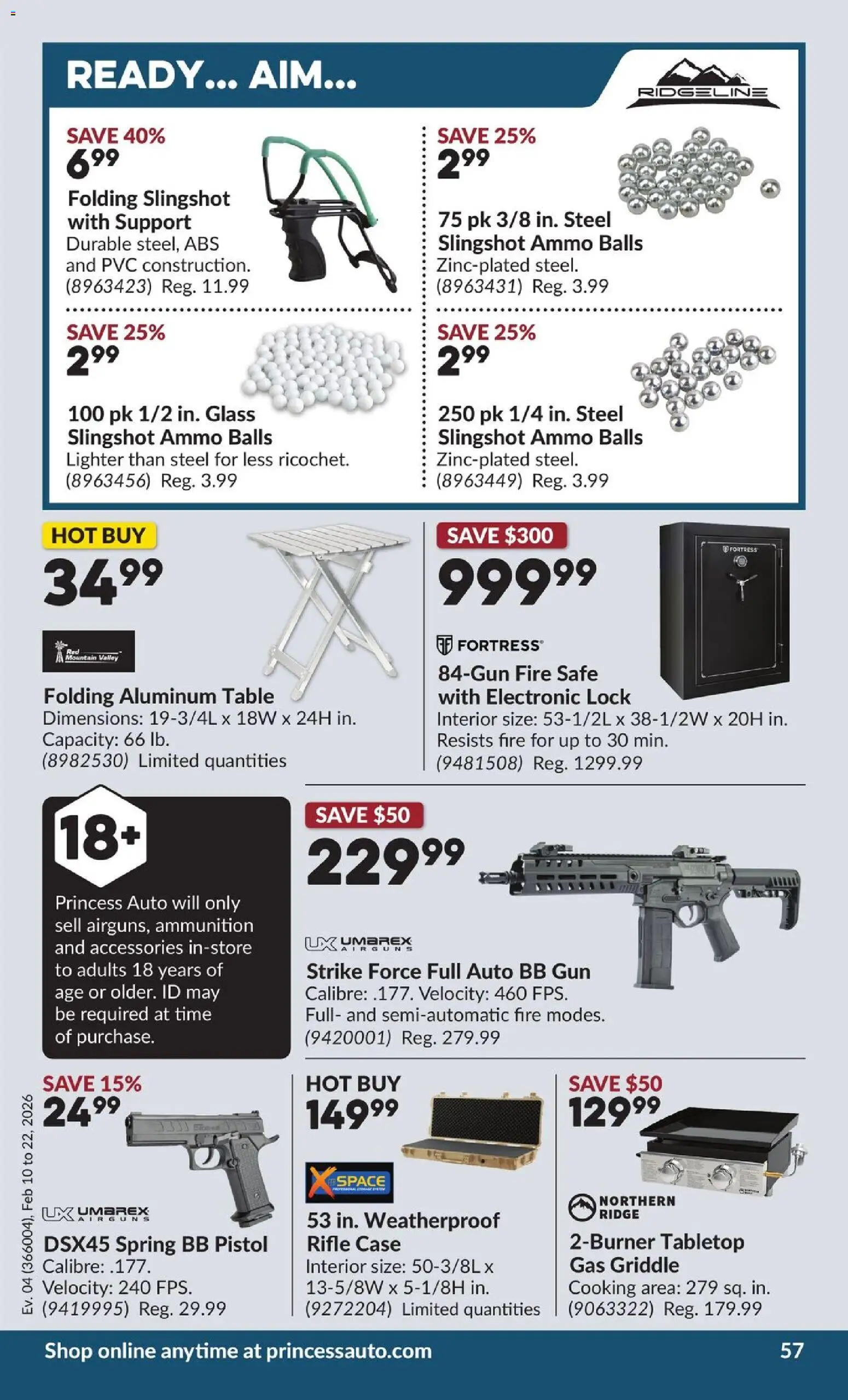 Princess Auto flyer valid from 10.02.2026 | Page: 62