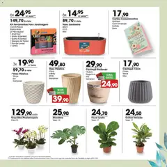 Zaffari ofertas Casa Linda Mães - Pré-Visualização do folheto da loja Zaffari, válido de 24.04.2026 | Página: 9 | Produtos: Vaso, Jardineira, Envelope, Bourbon