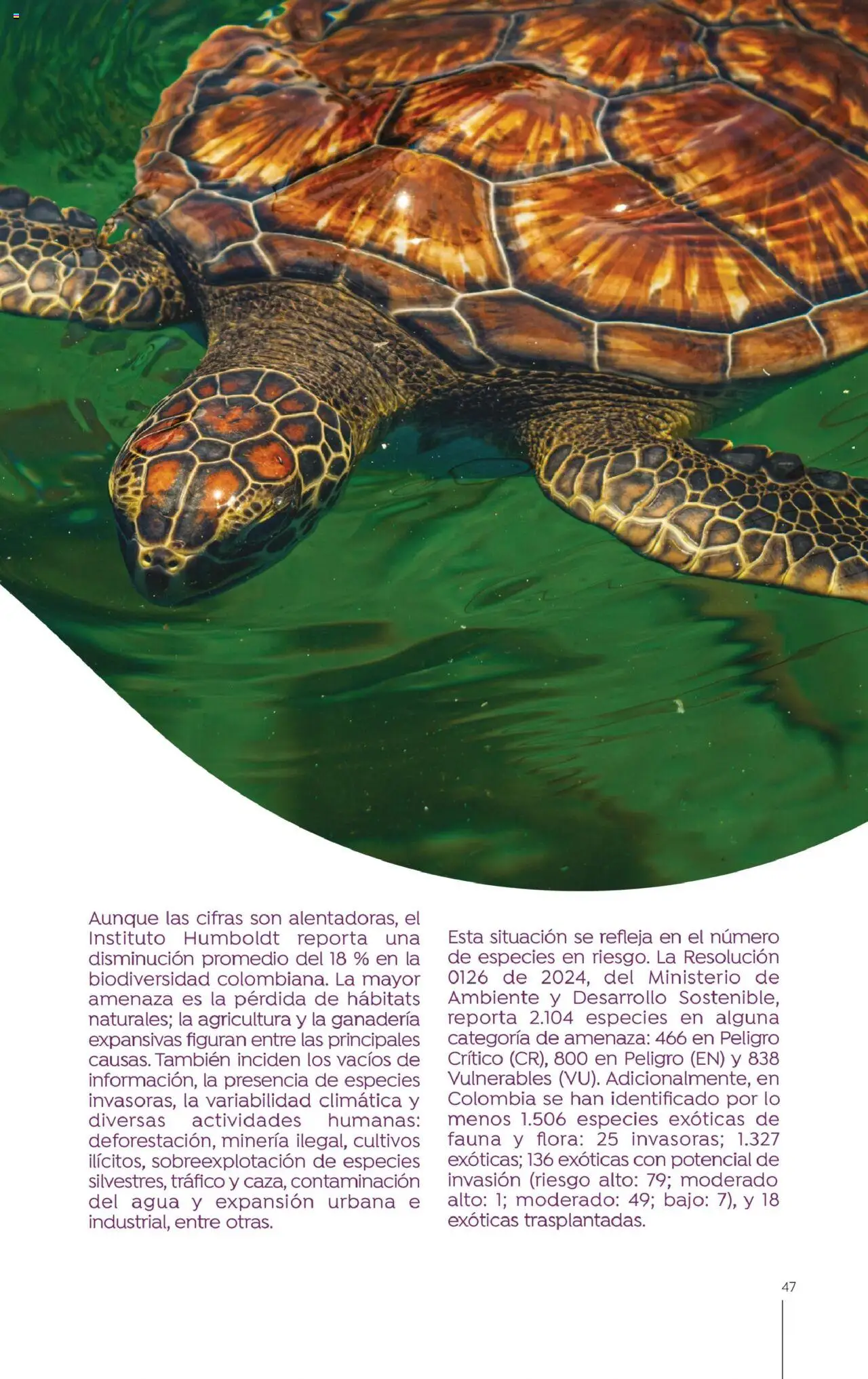 Colsubsidio revista - valida desde el 01.09.2025 | Página: 47 | Productos: Agua