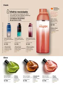 Vista previa de folleto Natura - Ciclo 2 de la Natura válido desde 13.01.2026 | Página: 61