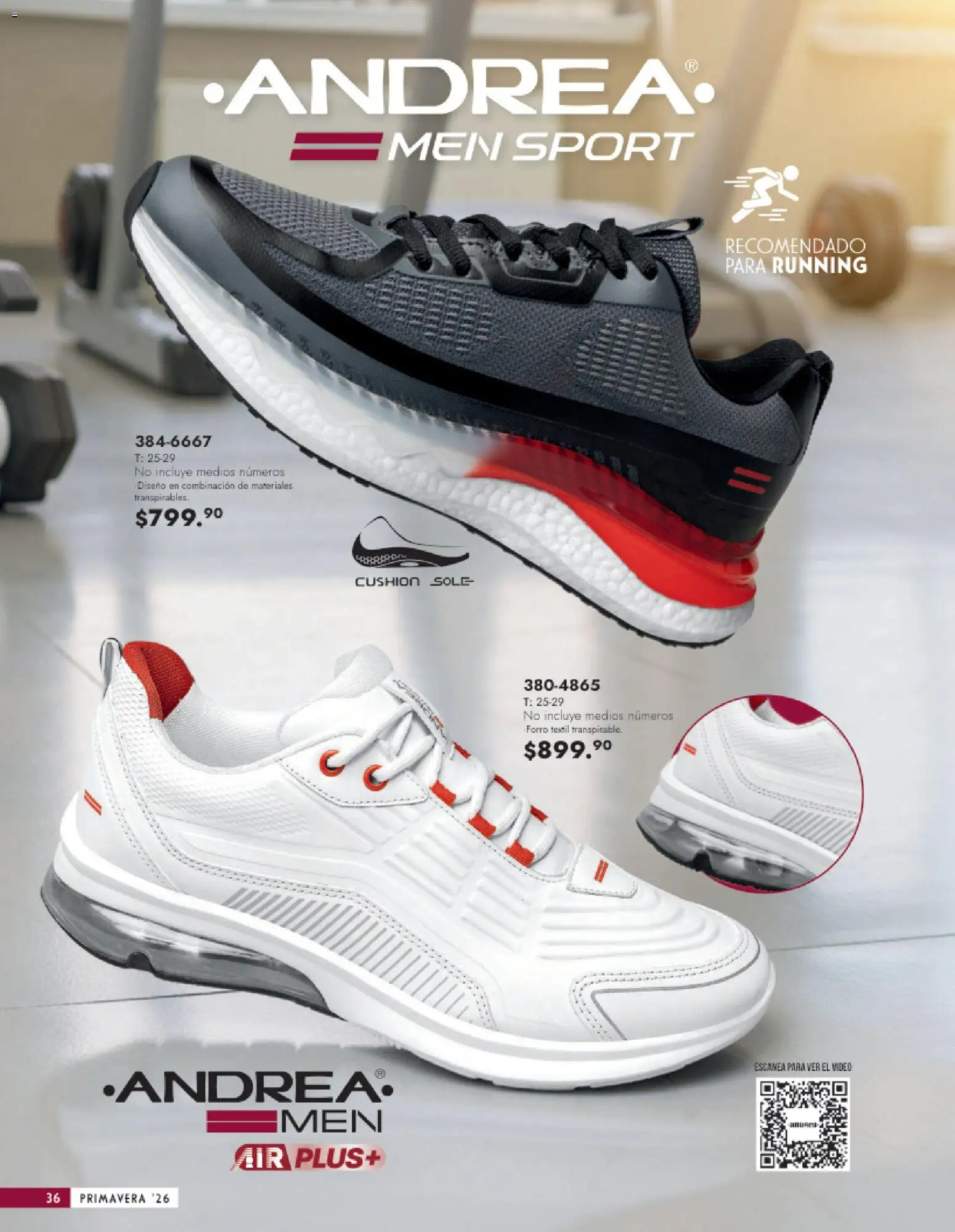 Nuevas ofertas de Andrea válidas en toda la República Mexicana desde el 25.01.2026. ¡Encuentra las mejores ofertas en Andrea catálogo Calzado Caballero! | Página: 36 | Productos: Video