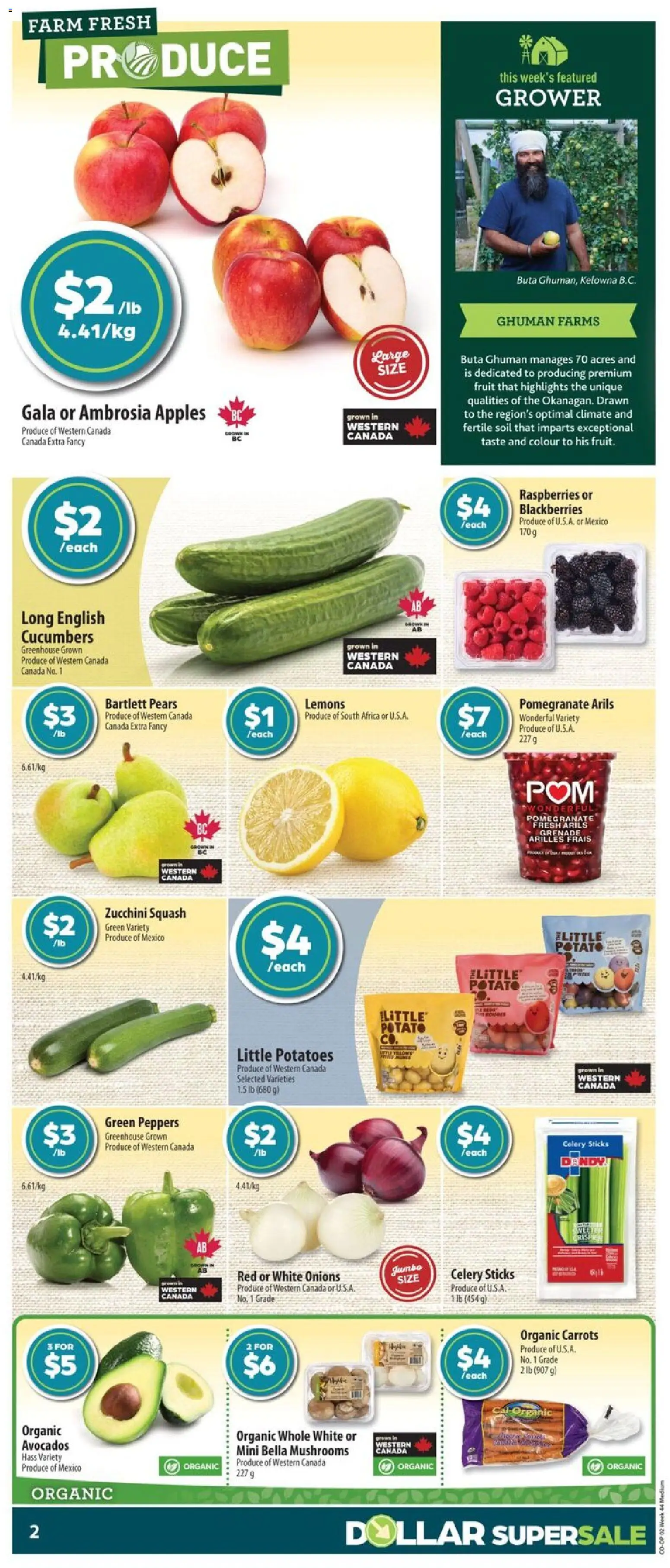 Co-op Food flyer valid from 23.10.2025 | Page: 4 | Products: Cucumbers, Potatoes, Apples