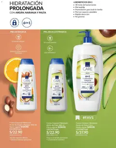 Vista previa de folleto Avon catálogo - Campaña 6 de la Avon válido desde 01.04.2026 | Página: 141